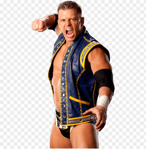 holy shit alex riley is everyone's doppelgänger - wwe alex riley Isolated Element with Clear Background PNG