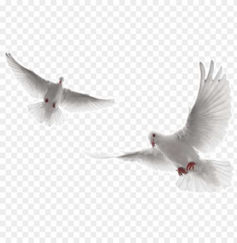 holy spirit dove - white doves flying PNG images with clear alpha channel