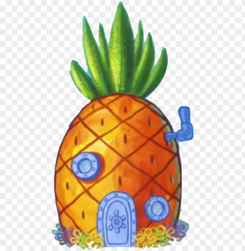 home - lives in a pineapple under a pineapple Isolated Item with Transparent PNG Background