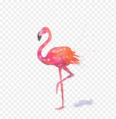 homenote cardssummer theme note cards - greater flamingo Alpha channel PNGs