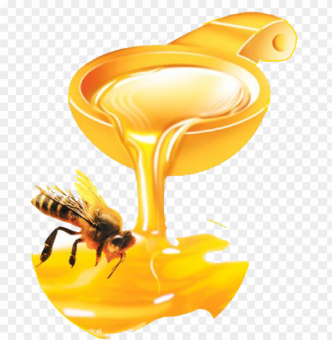 honey food design PNG with Isolated Transparency