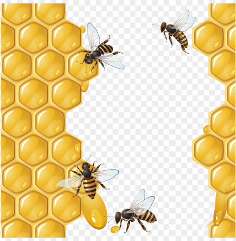honey food free PNG with no registration needed