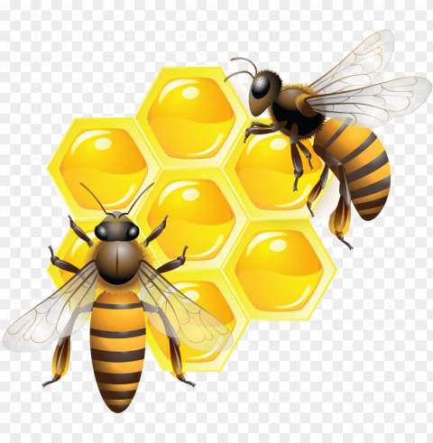honey food image PNG transparent designs for projects - Image ID 4dac7f8f
