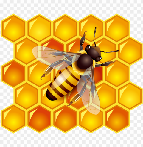honey food transparent images PNG with isolated background - Image ID 7a2a6dee