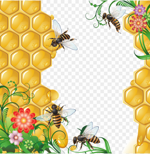 honey food wihout PNG with cutout background