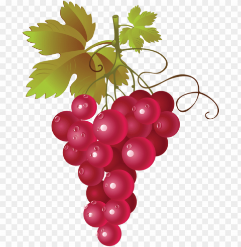 hop grape vines - red grapes clipart PNG graphics with transparency PNG transparent with Clear Background ID 88552e13