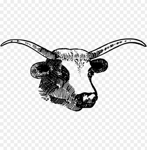 Horns Transparent Image