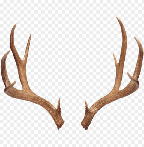 horns - boho deer hor High-definition transparent PNG PNG transparent with Clear Background ID 32c5e648