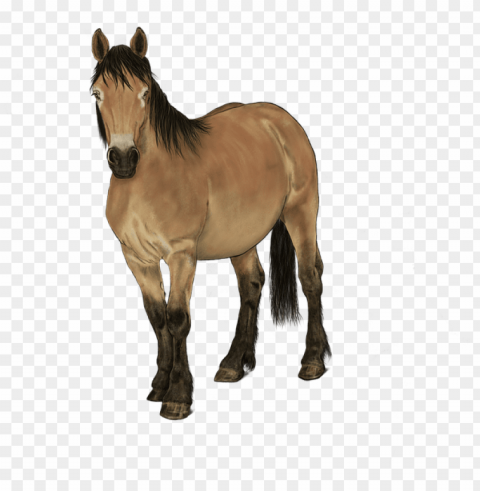 horse Isolated Element in Clear Transparent PNG PNG transparent with Clear Background ID ab337301