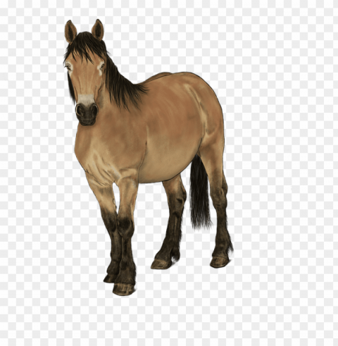 Horse Isolated Element In Clear Transparent PNG