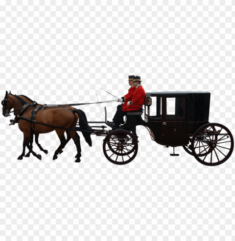 horse and carriage graphic freeuse stock - horse PNG images with alpha transparency wide selection