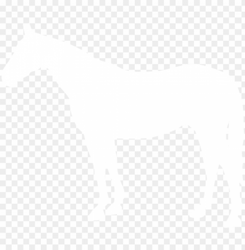 horse-icon - - horse Isolated PNG Object with Clear Background PNG transparent with Clear Background ID 510d35d9