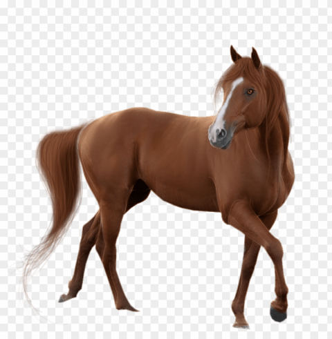 horse PNG format with no background PNG transparent with Clear Background ID 94128bf5