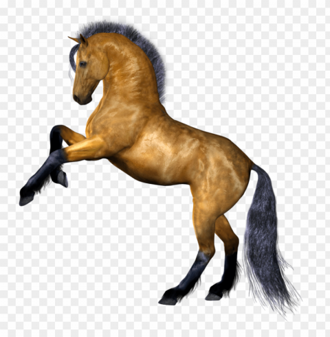 Horse PNG Graphic Isolated On Clear Background