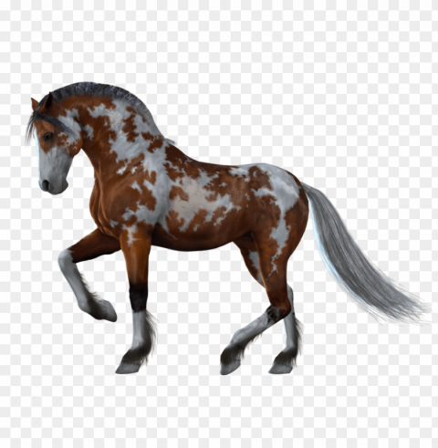 Horse PNG Graphics