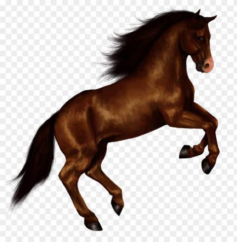 horse PNG graphics with clear alpha channel selection