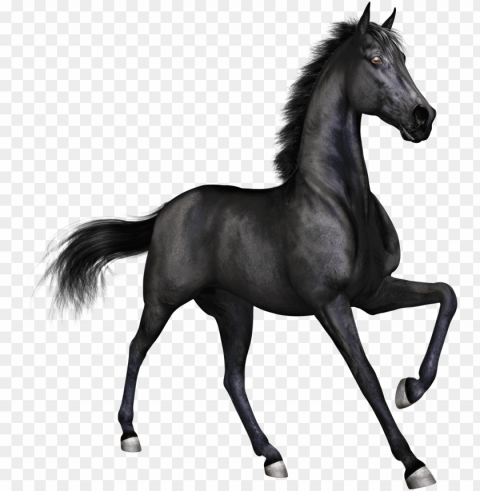 Horse PNG Images Free