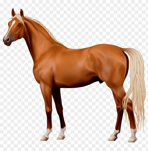 Horse PNG Images With Alpha Mask