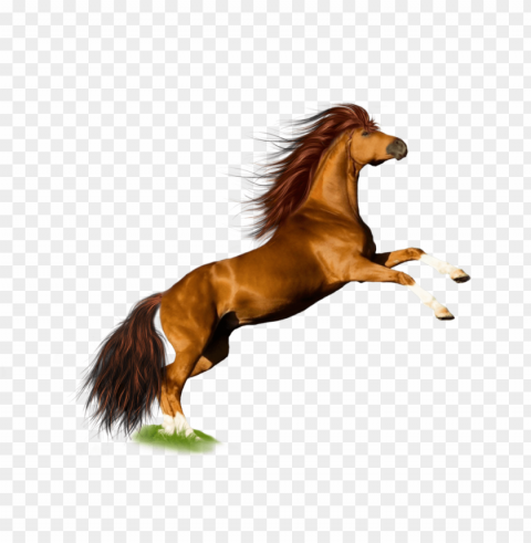 Horse PNG Images With Alpha Transparency Layer