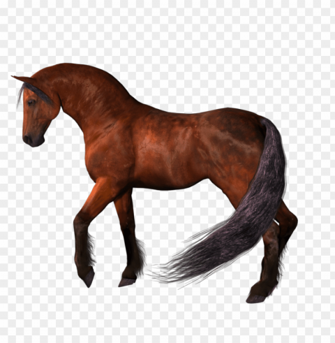 Horse PNG Images With Alpha Transparency Selection