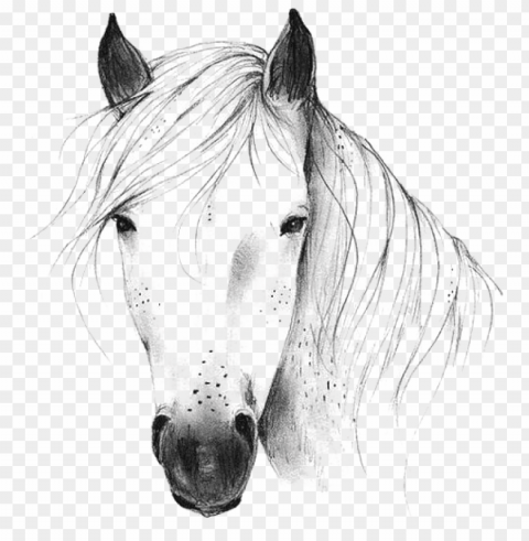 horse & horse clipart - wild horse head black and white PNG with transparent bg