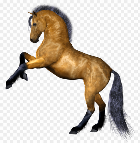 horse - horse transparent background PNG Image Isolated with High Clarity