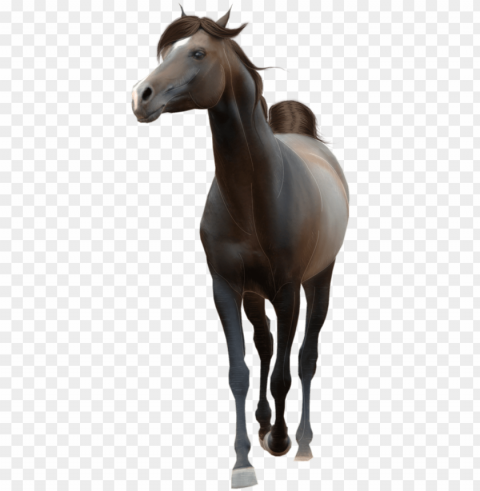 horse transparent background PNG files with clear backdrop assortment