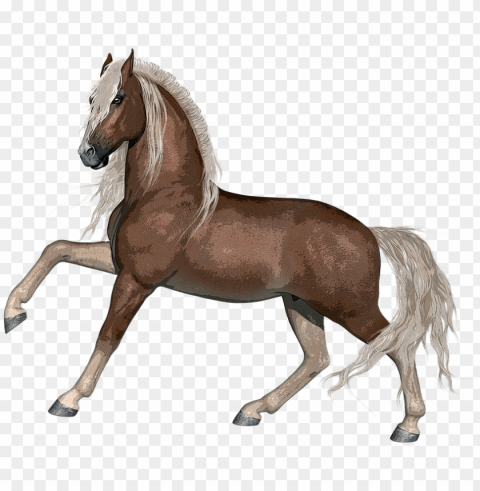 horse stallion animal farm nature mammal equine - disegni da stampare di cavalli Isolated Subject on HighQuality Transparent PNG