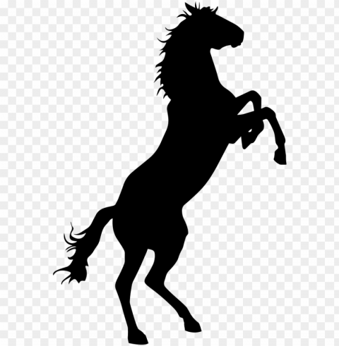 horse vector - bronco horse Clear PNG pictures free