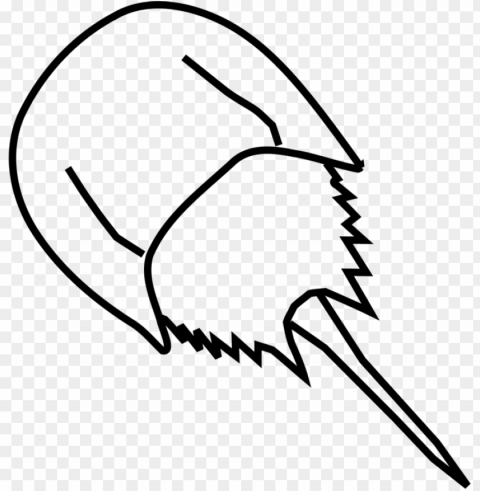 horseshoe crab drawing - horseshoe crab drawing easy PNG images with clear alpha layer