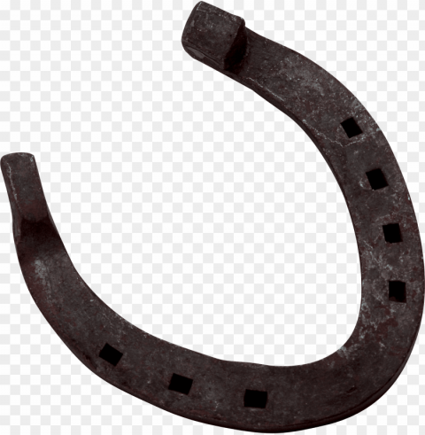 horseshoe Isolated Design Element in Transparent PNG
