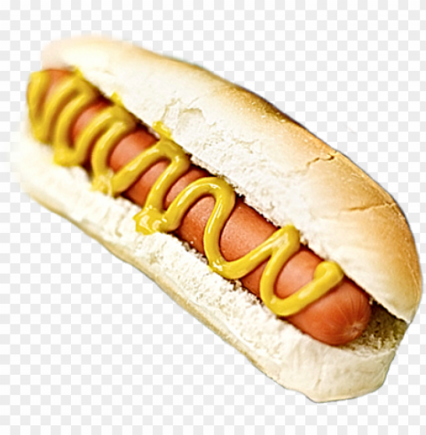 hot dog food design Transparent background PNG images selection