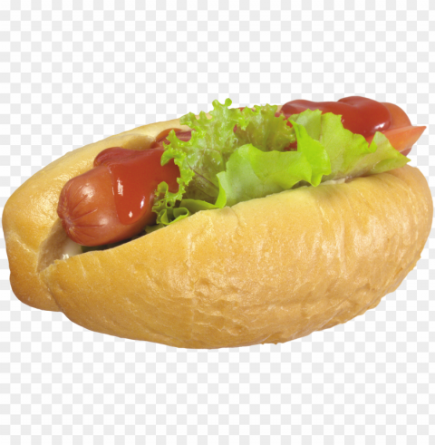 Hot Dog Food Download Transparent Background Isolation In PNG Format