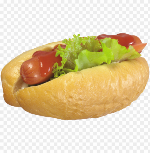 hot dog food download Transparent Background Isolation in PNG Format