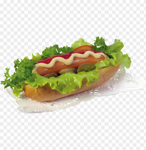 Hot Dog Food Transparent Background PNG Images Comprehensive Collection