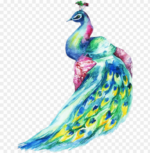 Hotos Of A Peacock - Watercolor Peacock Free Download PNG Images With Alpha Channel Diversity