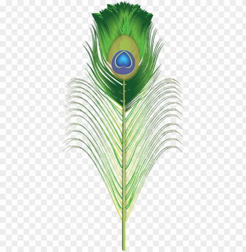 hotoshop clipart blue feather - peacock feather clipart PNG transparency