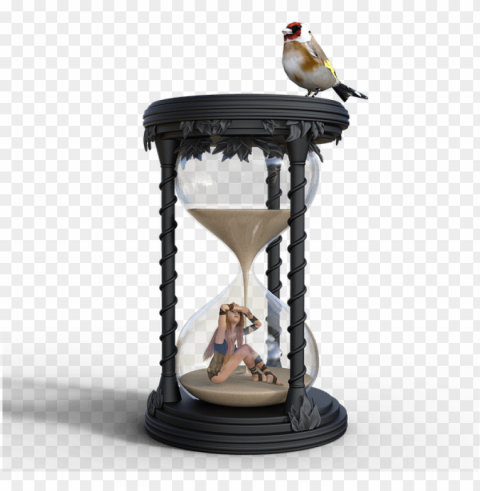 hourglass animal Isolated Illustration on Transparent PNG
