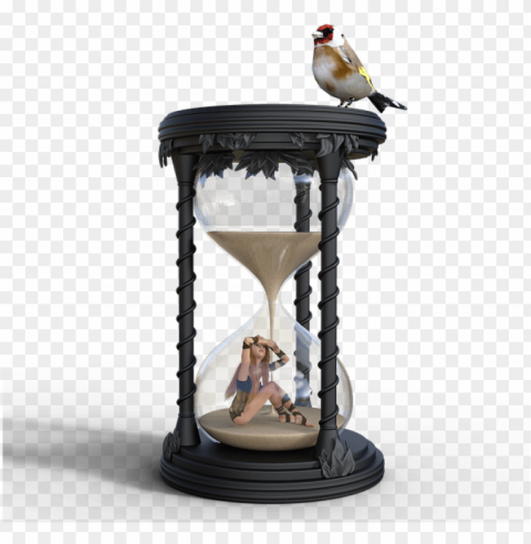 Hourglass Animal Isolated Illustration On Transparent PNG