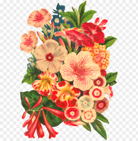 how beautiful would this bouquet look sitting on a - flowers artwork PNG Graphic Isolated with Transparency