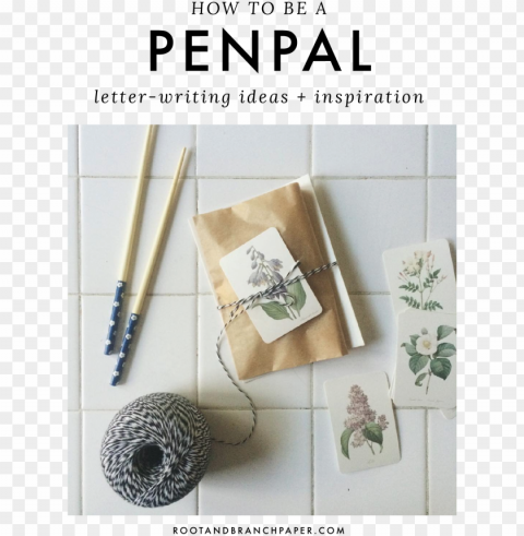 how to be a pen pal - pierre-joseph redoute camelias yard si Isolated Artwork on Clear Transparent PNG