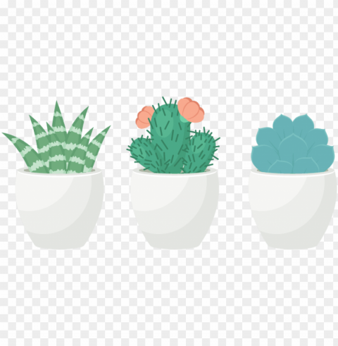how to create a trio of succulents in adobe illustrator - transparent background succulent clip art PNG for educational use