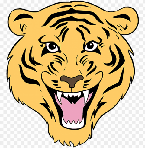 how to draw a tiger face in a few easy steps - drawing of tiger for kids PNG with transparent background free