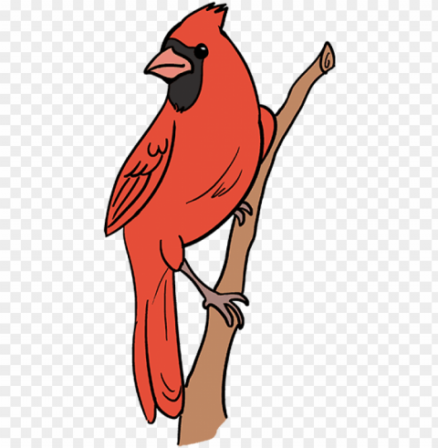 how to draw cardinal bird - cartoon cardinal red bird Free PNG