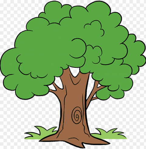 how to draw cartoon tree - cartoon tree PNG pictures with no backdrop needed