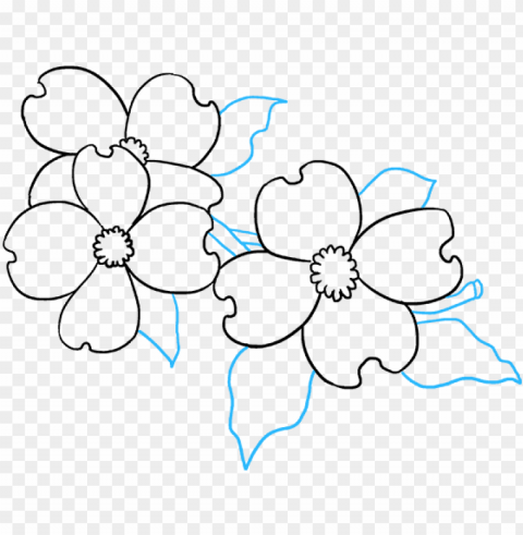 how to draw dogwood flowers - flower PNG files with clear background collection