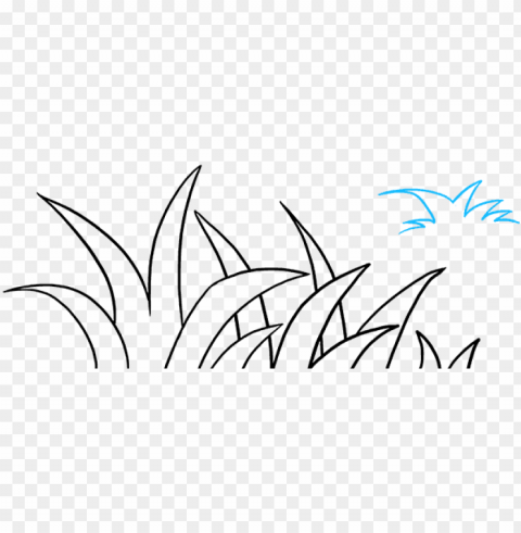 how to draw grass - drawi HighQuality Transparent PNG Isolated Artwork