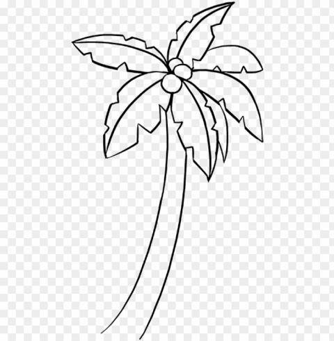 how to draw palm tree - line art PNG images for merchandise