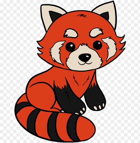 how to draw red panda - red panda drawing easy step by ste PNG isolated