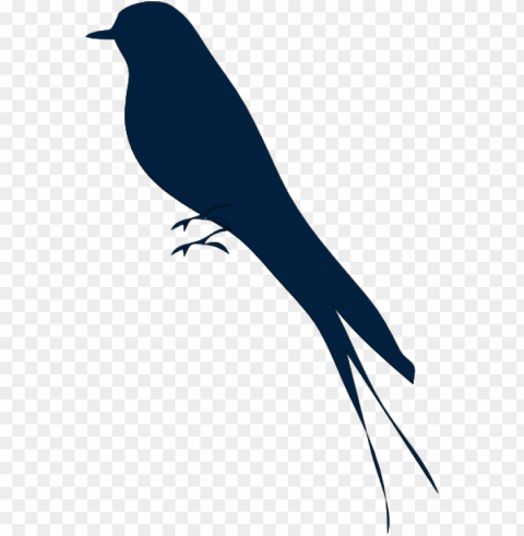 how to set use bird silhouette svg vector PNG transparent photos assortment